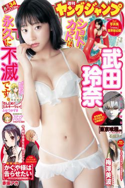 开始播放