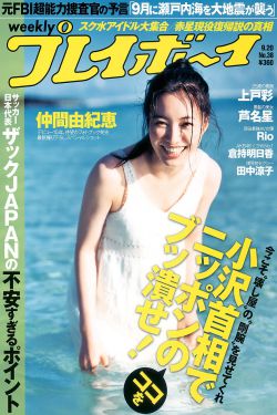 再遇半截白菜