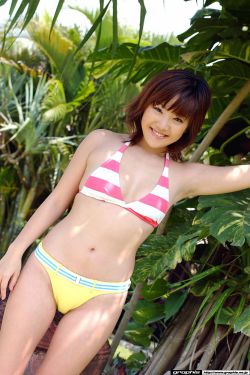 小日子电视剧在线观看全集免费