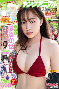 蓝色妖姬电视剧